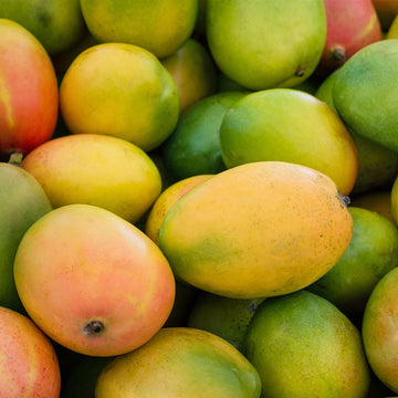 Mangos liegen dicht aneinander, bunt gemischt zwischen grün und gelb, in einem Haufen.