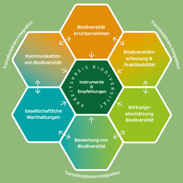 Sechseckige Diagramme zeigen Biodiversitätskonzepte um ein zentrales, grünes Feld auf grünem Hintergrund.